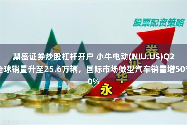 鼎盛证券炒股杠杆开户 小牛电动(NIU.US)Q2全球销量升至25.6万辆，国际市场微型汽车销量增50%