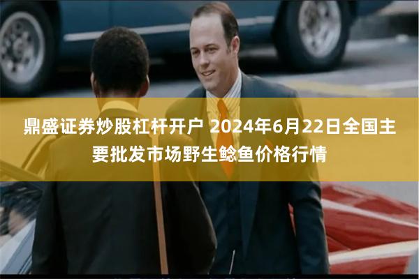 鼎盛证券炒股杠杆开户 2024年6月22日全国主要批发市场野生鲶鱼价格行情