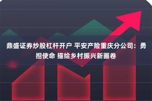 鼎盛证券炒股杠杆开户 平安产险重庆分公司：勇担使命 描绘乡村振兴新画卷